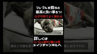 フレンチブルドッグを飼うと良い事５選 - ショート版 #shorts