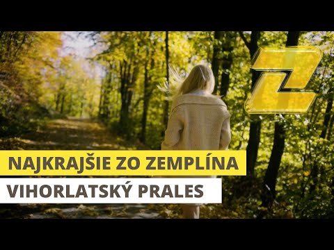 NAJKRAJŠIE ZO ZEMPLÍNA - Vihorlatský bukový prales