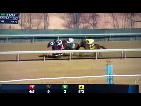JAZIL'S (G STAKES) 1/20/18 - BACKSIDEOFTHEMOON !!!