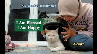 Download lagu Aviwkila - I am rich #aviwkila #iamrich#lagu indonesia#musikindonesia#blitar#kucing#love#kucinglucu  mp3