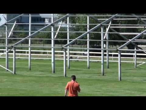 Grand Prix Bohemia 21. 5. 2016 (Mladá Boleslav): jeden z prvních rozběhů psů