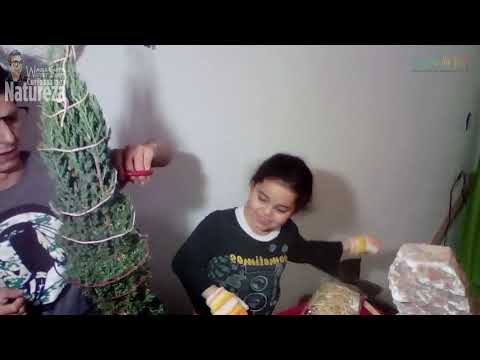 #PrôWagnerSants Plantão de Artes - Paisagismo & Topiaria Parte 2