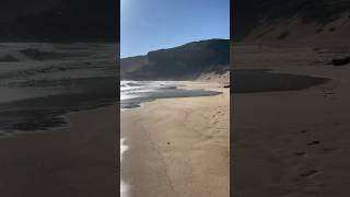 Experience the beach with Skinners