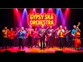 Gypsy Ska Orchestra Orchestra Jazz Manouche Concert Instrumental Music Bohemian Jazz Vibes