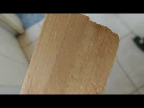 Timber and Rot... effects of left to the elements, fungi and bugs for two years