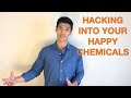 Hacking Into Your Happy Chemicals