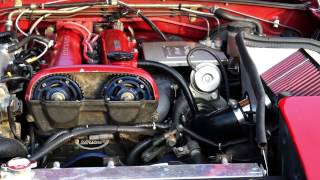 "Cinnamon" the Turbo Miata