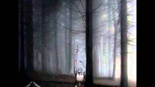 Malicia   Naturalismos