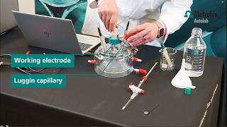 Tafel Analysis Experiment: Step-by-step guide with tips for success