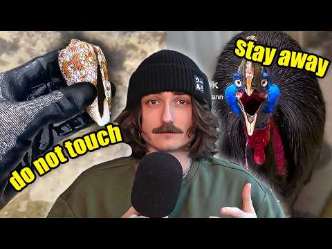 Seriously Please Stop Touching Wild Animals