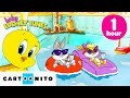Baby Looney Tunes In 1 Hour Of Games And Fun Cartoonito