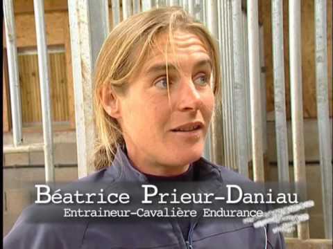 interview über KVALL Steigbügel