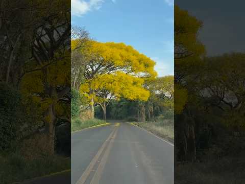 10 Cidades Mineiras da Região Sudoeste de Minas