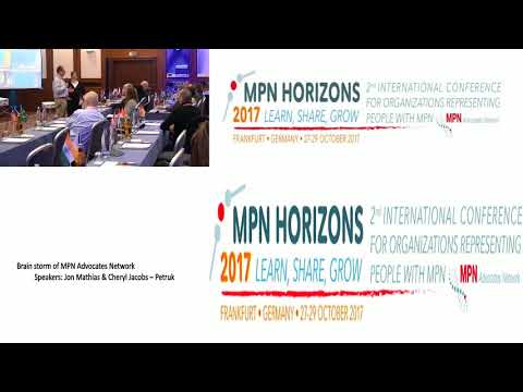 Brain Storm Session MPN Horizons 2017