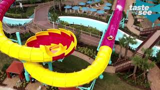Solar Vortex opens at Adventure Island | Taste and See Tampa Bay