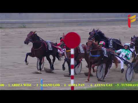 V Corsa del 6 novembre 2021   Cat  E   Metri 2000