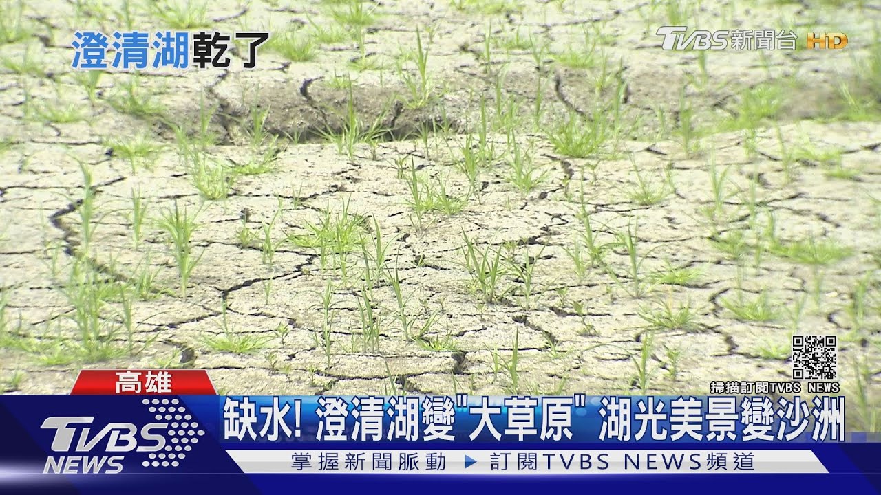 澄清湖變「大草原」!湖光倒影變沙洲一片 高雄人驚嘆:前所未見