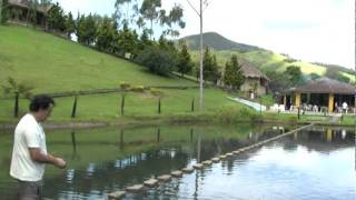 preview picture of video 'Pesca de truta'