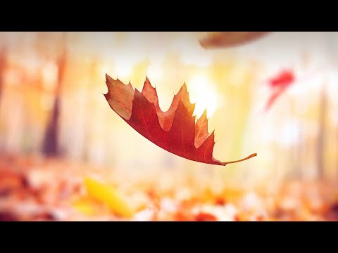 Trance Hangover 3 - Chillout & Ambient Mix