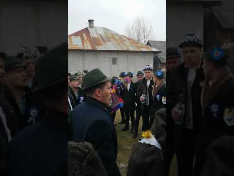 Poienile de sub munte 9