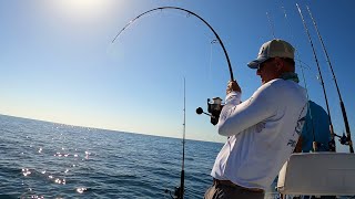 Drop Baits on Reef and Hold On! Underwater View Shows Bait Thieves!