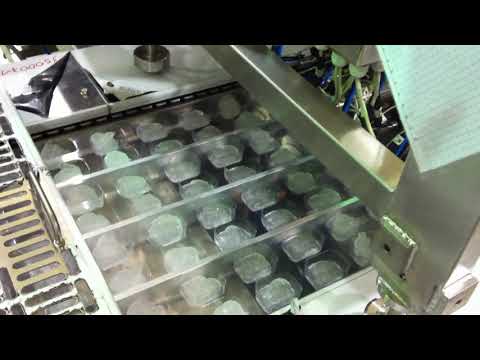 Gs Italia Dosing systems for Thermo-forming machine