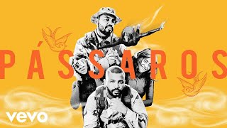 Pássaros Lyrics English Translation