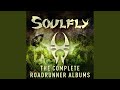 Soulfly VI