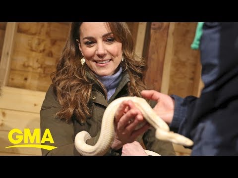 Kate Middleton held a yellow snake during her trip to Northern Ireland | GMA Digital