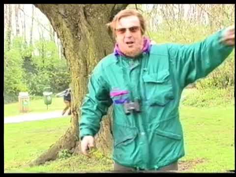 In De Gloria S02E10 - De Dagtrippers - Tripstick (slot)