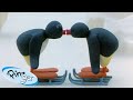 Pingu S First Kiss Pingu Official Channel Cartoons For Kids