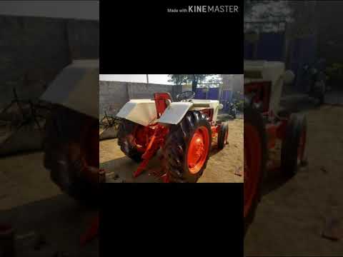 Shonky Rai paintr 8437308009