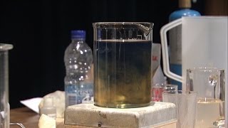 The Iodine Clock Reaction