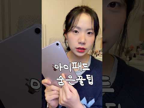 아이패드 쓰는 사람 이거 모를걸