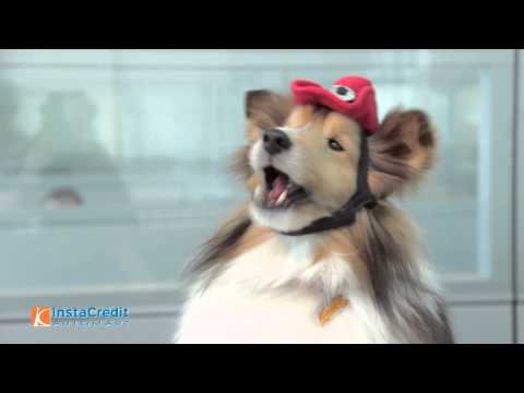 InstaCredit Automart - Double Your Down Payment - June 2015