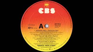 Terence Trent D&#39;Arby - Wishing Well (Darbinian Mix) 1987