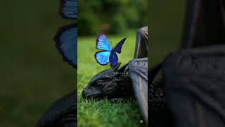 Baby Dragon and Baby Butterfly #relaxing #relaxingmusic #nature #dragon #butterfly