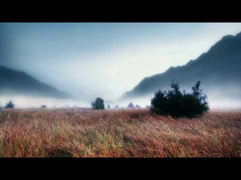 grayera – depart w/ cat soup