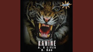 9 Lives