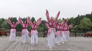 2026／4／19   想叶縁来 奏   願い Project 2026