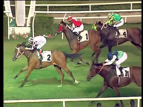 Galoppo 14/07/2018 - 4ª corsa - Pr. Città di Napoli