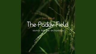 Download lagu Sawah mp3