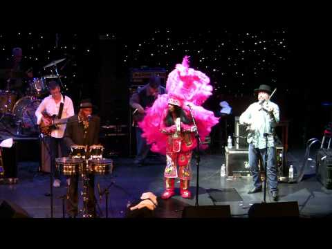 Tab Benoit VOW Allstars LRBC Jan 2015 "Me Donkey Want Water"