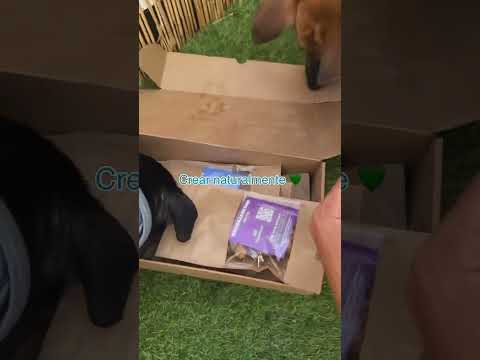 Gracias por este 2024 tan maravilloso 🧡🎄