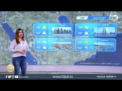 شاهد بالفيديو.. الانواء الجوية وتغيرات الطقس مع دينا هلسه 17- 4- 2019