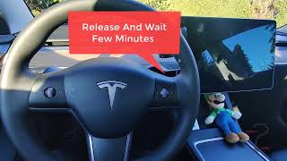 2021 Tesla Model 3 - How To Restart The Touchscreen