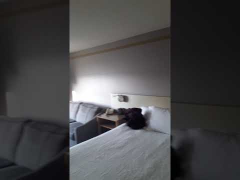 HILTON GARDEN INN, EAST  LAKE FOREST/IRVINE, CA 11-25-20