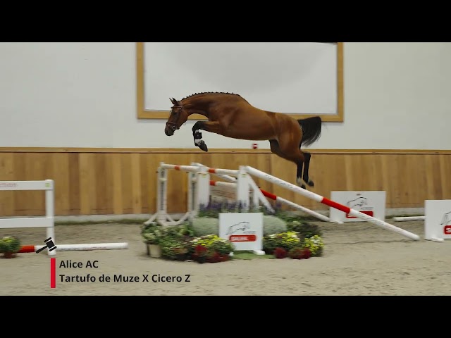 Alice AC