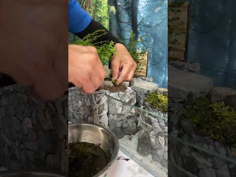 測定器上のコールテン鋼デコ ガーデン スイミング プール