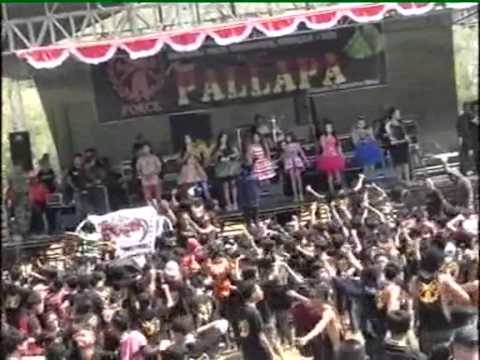 Pokok'e Joget All Artist New pallapa Goa Wareh  kedumulyo Sukolilo